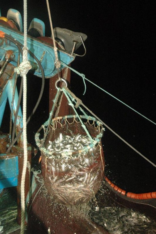 Rede de peixe já recolhida dentro do barco.