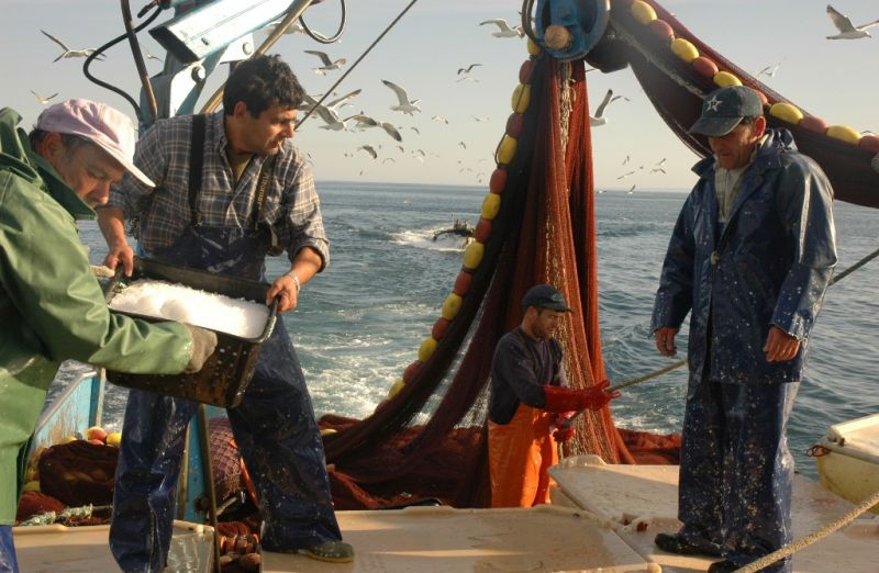 Mesmo de volta para a terra, trabalho não está acabado, repôr o gelo nas caixas com o peixe é uma constante na pesca.